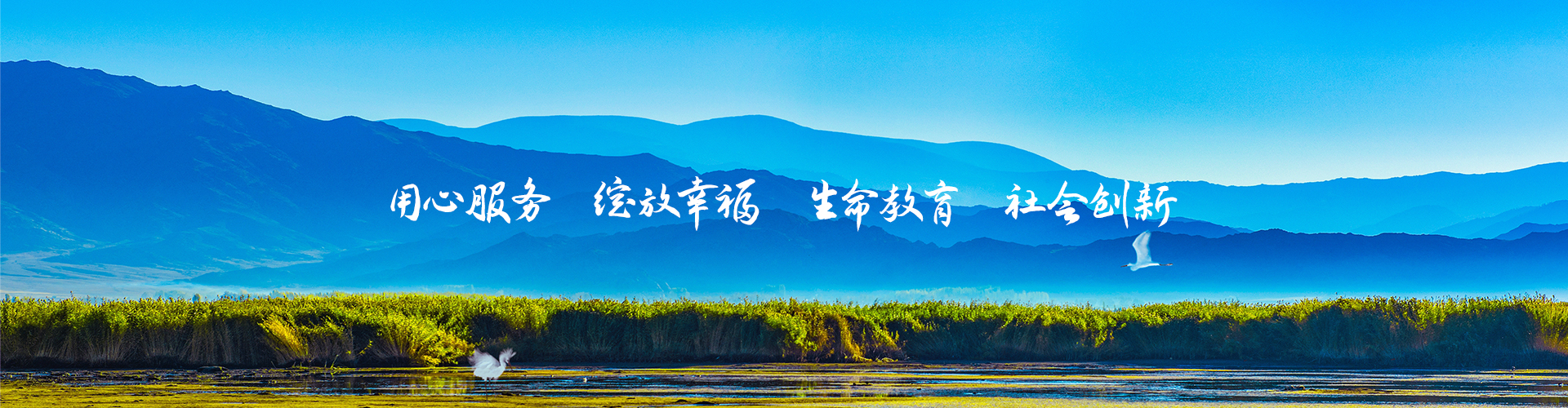 默认图片